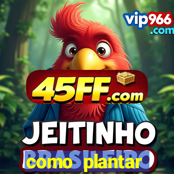 como plantar gergelim no vaso
